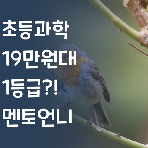 초등 과학, 19만원대로 1등급? 실화임?! 멘토 언니가 보장!