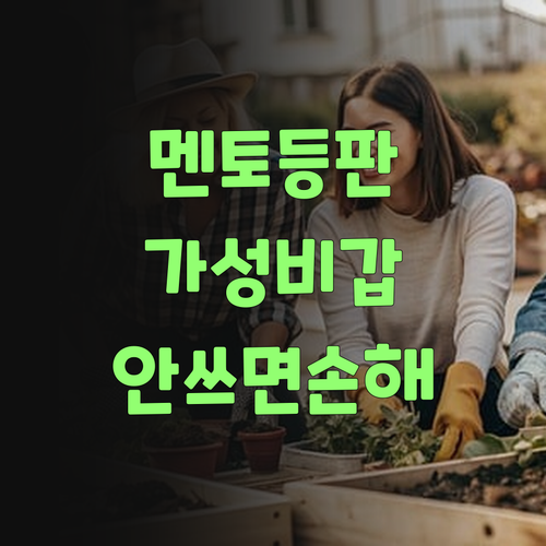 가성비 끝판왕 퍼스널멘토! 안 쓰면 손해랑께, 진짜여..
