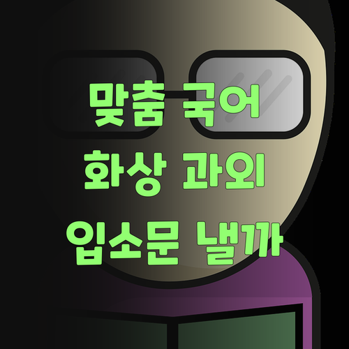 우리 애 맞춤 국어, 1:1 화상 과외가 답이더라고!.. 퍼스널멘토 쓴 김에 입소문 좀 내볼까..