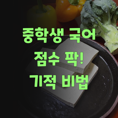 중학생 국어, 점수 팍! 올리는 기적? 비법 공개!..