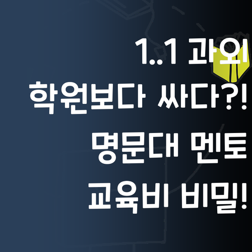 1:1 과외, 학원보다 싸다?! 명문대 멘토의 교육비 비밀 대방출!
