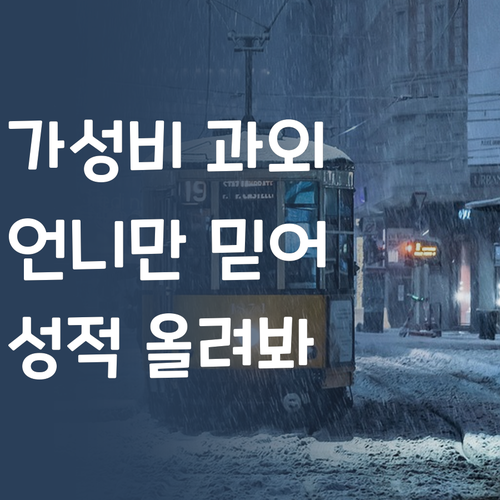가성비 갑 1:1 과외 퍼스널멘토 언니만 믿어보라구!