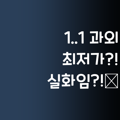 1:1 과외 최저가?! 퍼스널멘토, 이 가격 실화임?!😲