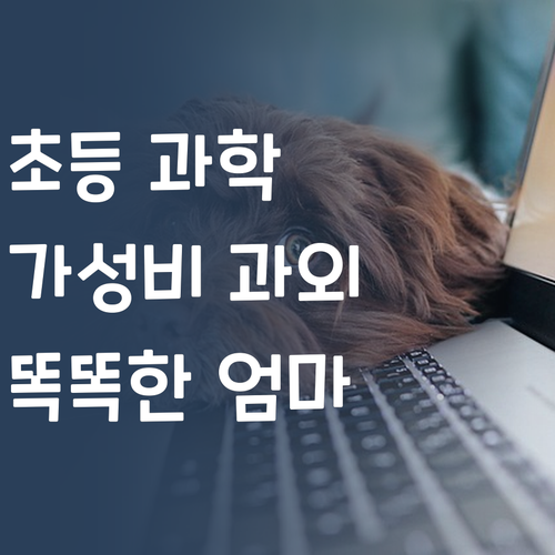 똑똑한 엄마의 선택! 초등 과학, 가성비 과외로 끝!