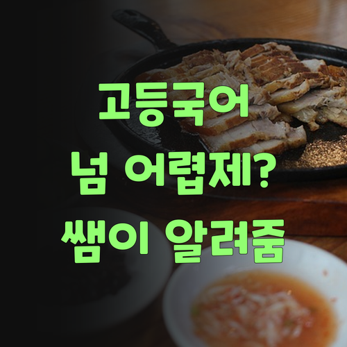 고등 국어, 와 이리 어렵다요? 퍼스널멘토가 속 시원히 해결해 준당께..