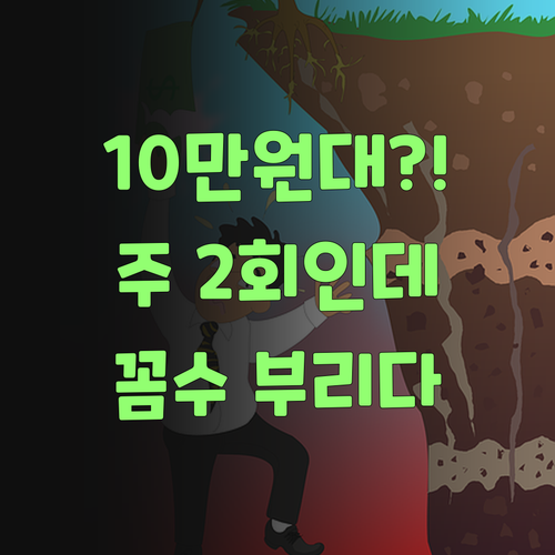 10만원대 과외?! 퍼스널멘토는 주 2회인데! 꼼수 부리지 말더라고~