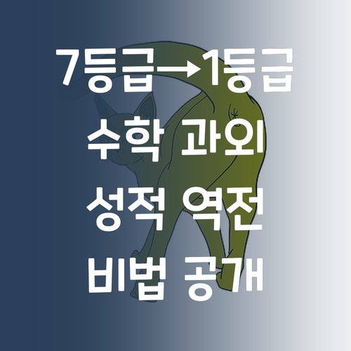 7등급에서 1등급 썰푼다! 고등수학 과외, ✨성적역전✨ 비법 대방출