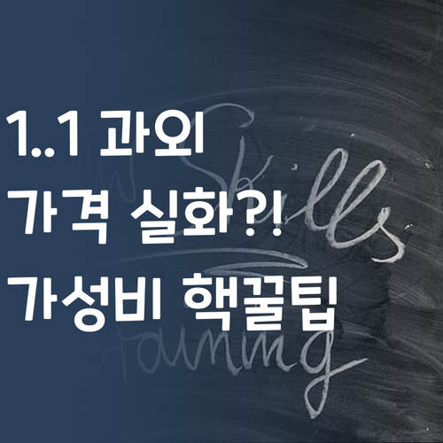 1:1 과외, 이 가격 실화?! 퍼스널멘토 가성비 핵꿀팁🍯