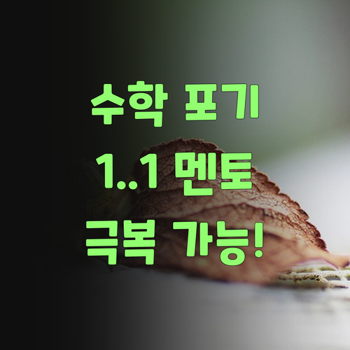 수학 포기? 퍼스널멘토 1:1 수업으로 극복해보자!..