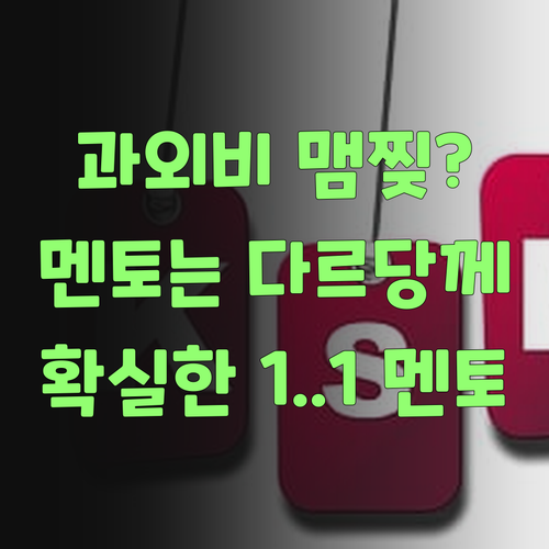 아따, 1:1 과외 가격 땜에 맴찢? 퍼스널멘토는 다르당께..