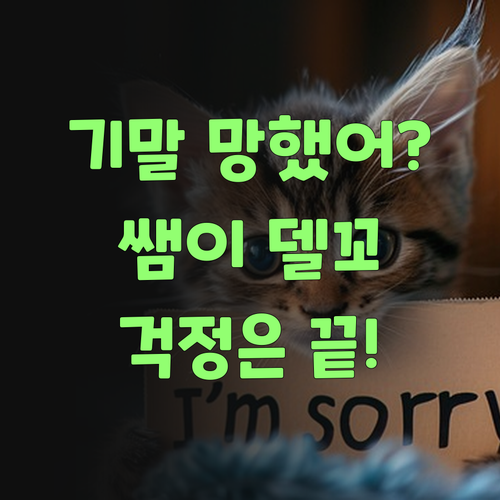 기말고사 망쳤다고라? 슨상님이 퍼스널멘토 델꼬 올랑께, 으따 걱정마!..