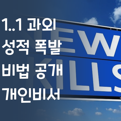 화상과외, 1:1 개인비서급?! 고등 사회 성적 폭발 비법 공개!