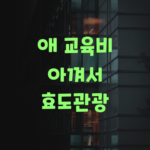 애 교육비 아껴서 효도관광 가자! 퍼스널멘토가 답이여..