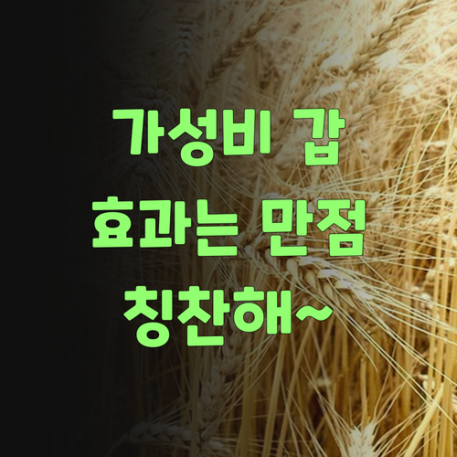 가격은 착하고, 효과는 만점! 퍼스널멘토 칭찬해~