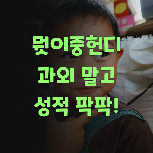 뭣이 중헌디? 비싼 과외 말고, 퍼스널멘토로 우리 아그들 성적 팍 올려보자요!