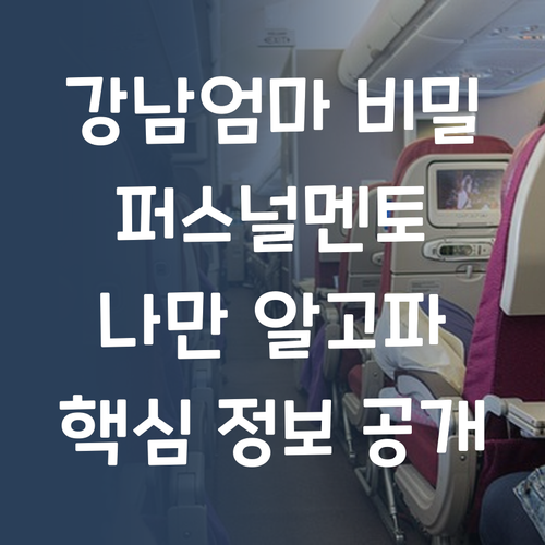 강남엄마만 안다는 비밀? 퍼스널멘토, 나만 알고 싶었어!