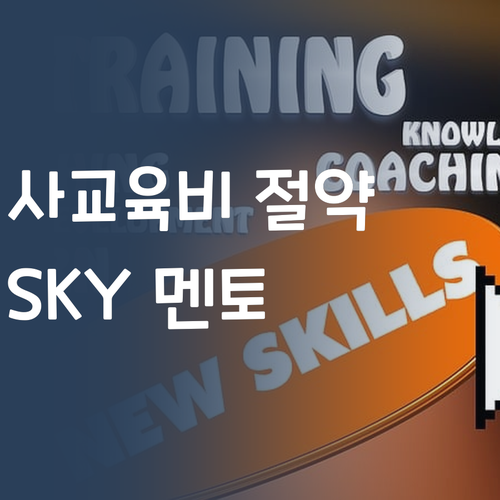 사교육비 아껴서 FLEX 해버리기! 7등급에서 SKY 간 멘토의 수학 과외 비법! 쉿!🤫