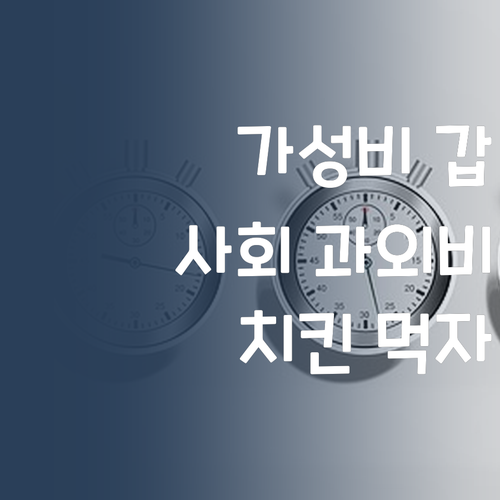 가성비 갑! 퍼스널멘토, 중딩 사회 과외비 아껴서 치킨 먹자! 🍗