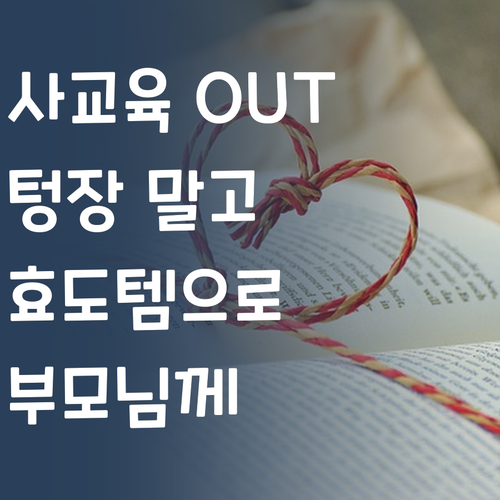 사교육비, 이제 텅장💸 말고 효도템🎁