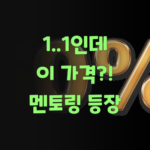 1:1인데 이 가격?! 퍼스널멘토, 교육계에 새바람 불어왔소!