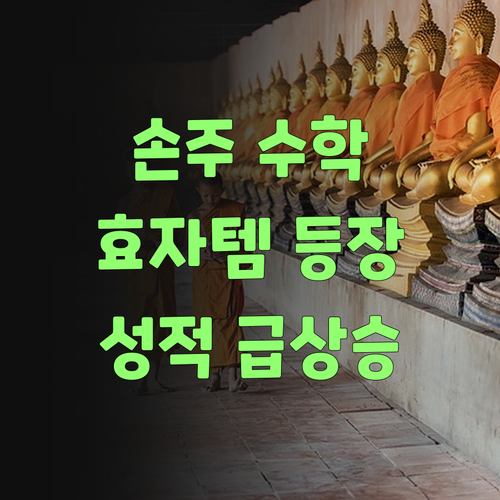 퍼스널멘토, 우리 손주 수학 실력 올려주는 효자템이여..