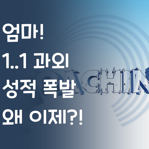 엄마! 이 1:1 과외 왜 이제 알려줬어?! 성적 폭발각!
