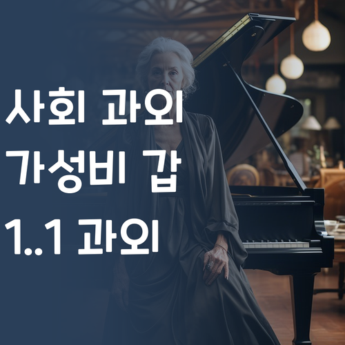 가성비 갑 사회 과외 👍 비싼 학원 말고 1:1 화상 과외 어때?