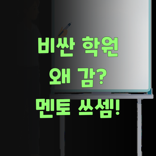 뭣땀시 비싼 학원 가? 퍼스널멘토가 싸고 징하게 잘 가르친당께! ..