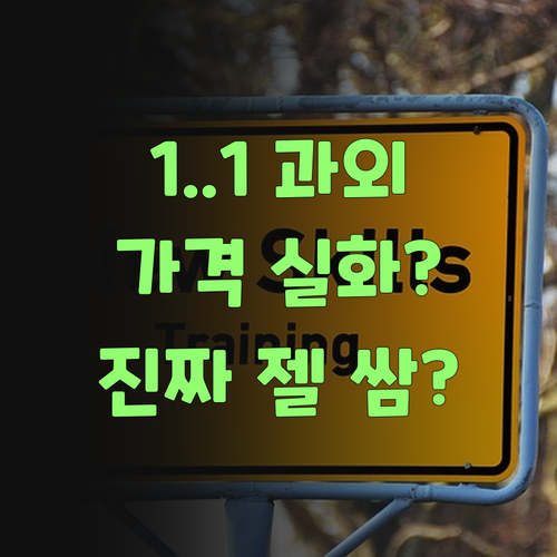 ๐ต ์ ค ์ผ 1:1 ๊ณผ์ธ? ํผ์ค๋๋ฉํ ๊ฐ๊ฒฉ ๋ค์ด๋ณด๋ฉด ๊น์ง ๋๋ ์ผ์ด์ฌ..
