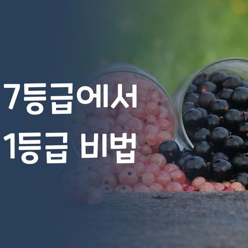7등급에서 1등급 секрет? 중3→고1 사회, 멘토 언니가 싹 다 알려줄게! 😉