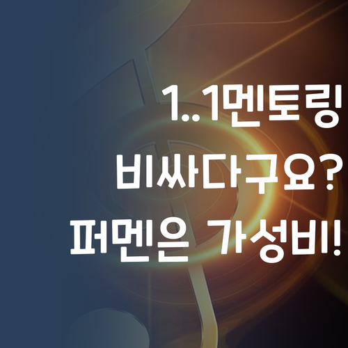1:1 멘토링, 비싸다구요? 퍼스널멘토는 가성비 갑! 놀러와~