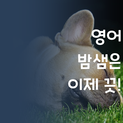 영어 때문에 밤샘? 댓츠 노노! 퍼스널멘토 1:1 과외면 걱정 끗!