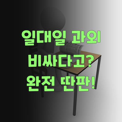 일대일 과외, 비싸다 생각했지라? 퍼스널멘토는 완전 딴판이여!