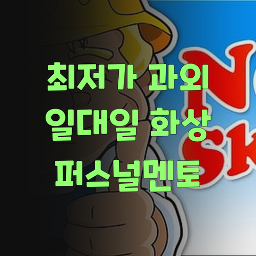 최저가 일대일 화상과외?! 퍼스널멘토 말고는 생각도 하지 마! 알았제?
