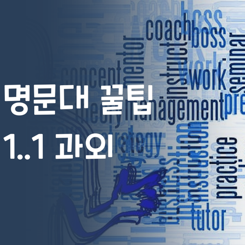 가성비 핵이득! 퍼스널멘토 1:1 과외, 명문대 언니가 꿀팁 알려줄게!