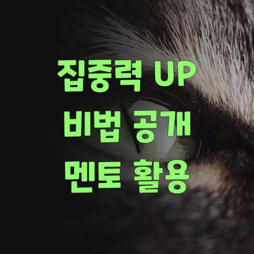 애 집중력 높이는 비법? 딴 거 없고 퍼스널멘토여!