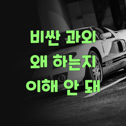 솔직히 말해봐, 비싼 과외 왜 하는지 이해 안 간다니까..