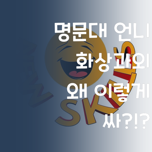 명문대 언니가 강추하는 1:1 화상과외, 왜 싼거야? 🤨