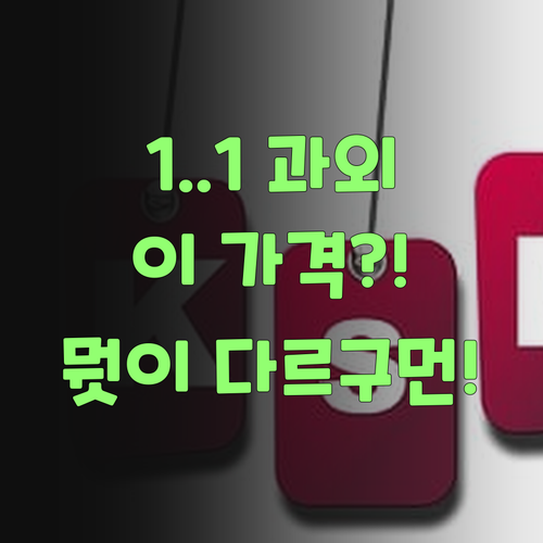 아따, 1:1 화상 과외가 이 가격?! 퍼스널멘토는 진짜 뭣이 달라도 다르구먼! ..