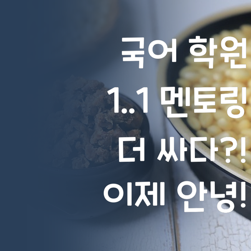 비싼 국어 학원 이제 안녕! 1:1 멘토링이 더 싸다?!