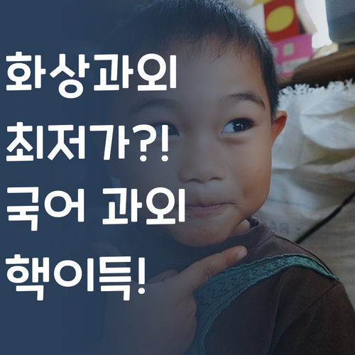 화상 과외 최저가 도전?! 퍼스널멘토 국어 과외 핵이득!