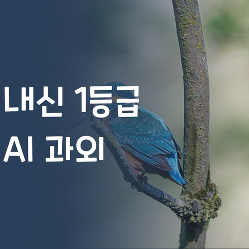 내신 1등급 비결? AI가 도와주는 합리적인 중등 영어 과외!