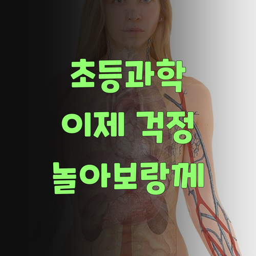 초등 과학? 이제 걱정말고 퍼스널멘토랑 놀아보랑께..
