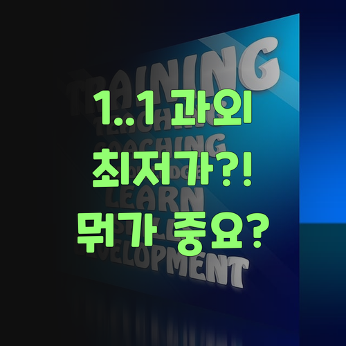 최저가 1:1 화상과외? 퍼스널멘토 뭣이 중헌디? появилось..