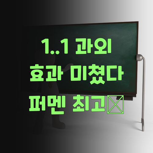1:1 맞춤 과외가 요렇게 좋을 줄 누가 알았겄어? 퍼스널멘토 최고여..