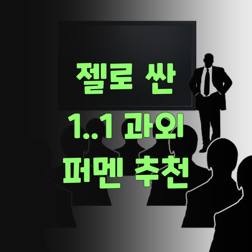 젤로 싼 1:1 과외 찾고 있다고? 퍼스널멘토, 자신 있게 추천한당께!