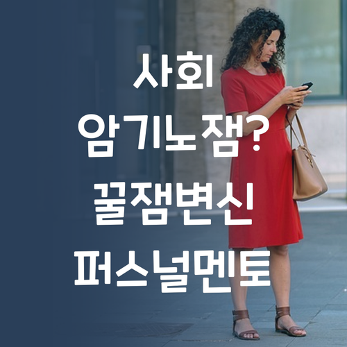 사회 과목, 암기 노잼? 퍼스널멘토가 꿀잼으로 바꿔줄게!