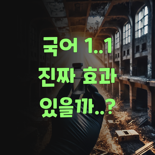 국어, 이젠 1:1로! 😲 퍼스널멘토, 진짜 효과 있을까잉..?