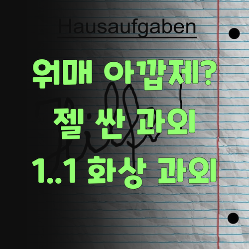 워매, 중학생 국어 학원비 아깝제? 젤 싼 1:1 화상 과외가 있다요..