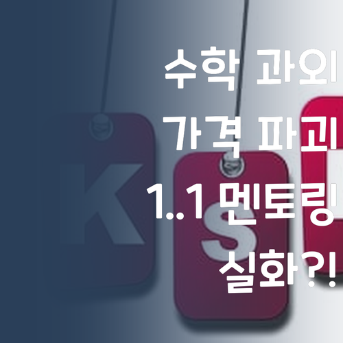 고등 수학 과외, 가격 거품 싹 뺐다! 1:1 멘토링, 이 가격 실화?!
